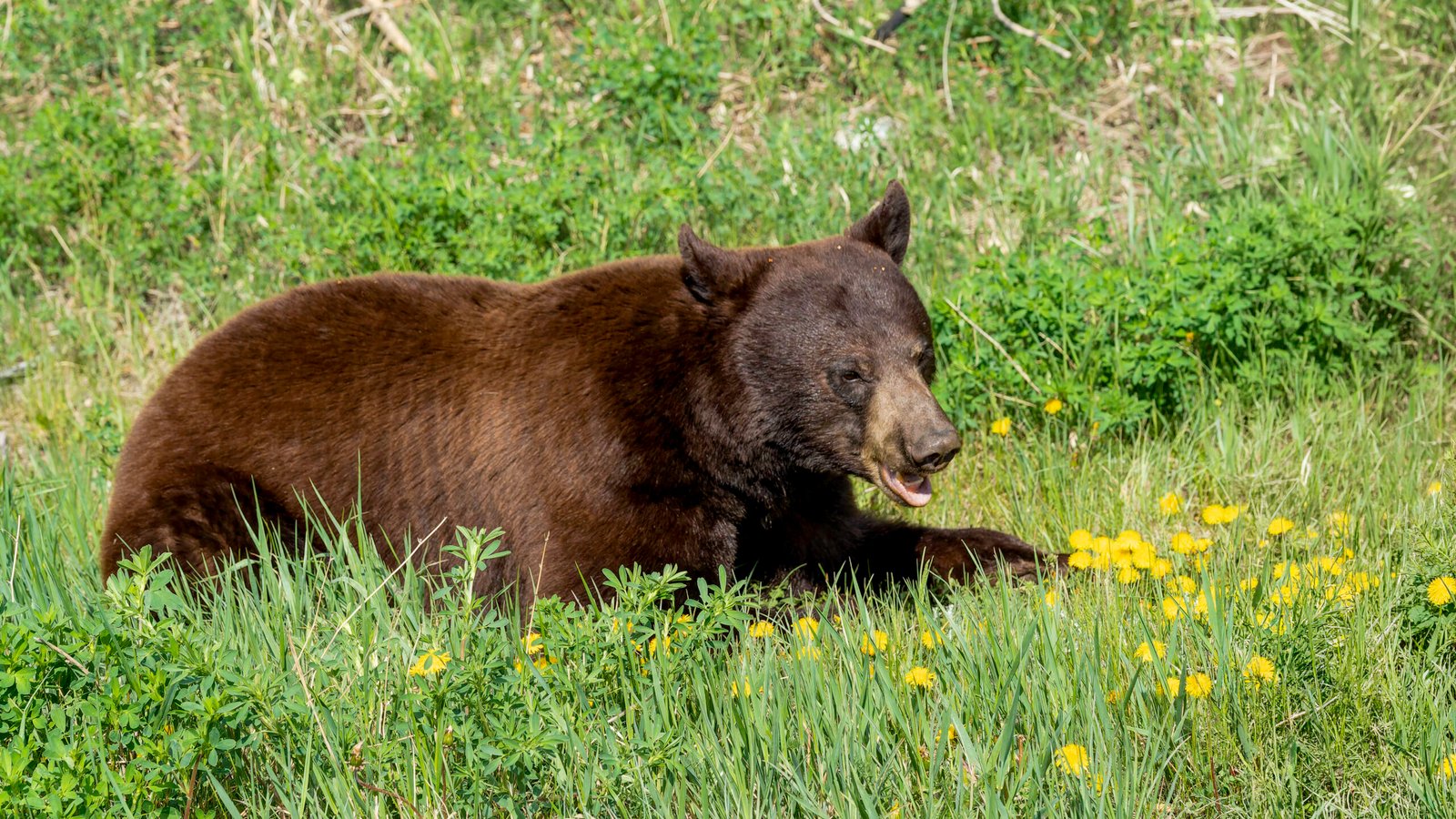 _A746698-DxO_DeepPRIME XD2s-Edit-Jpg – Full size-2