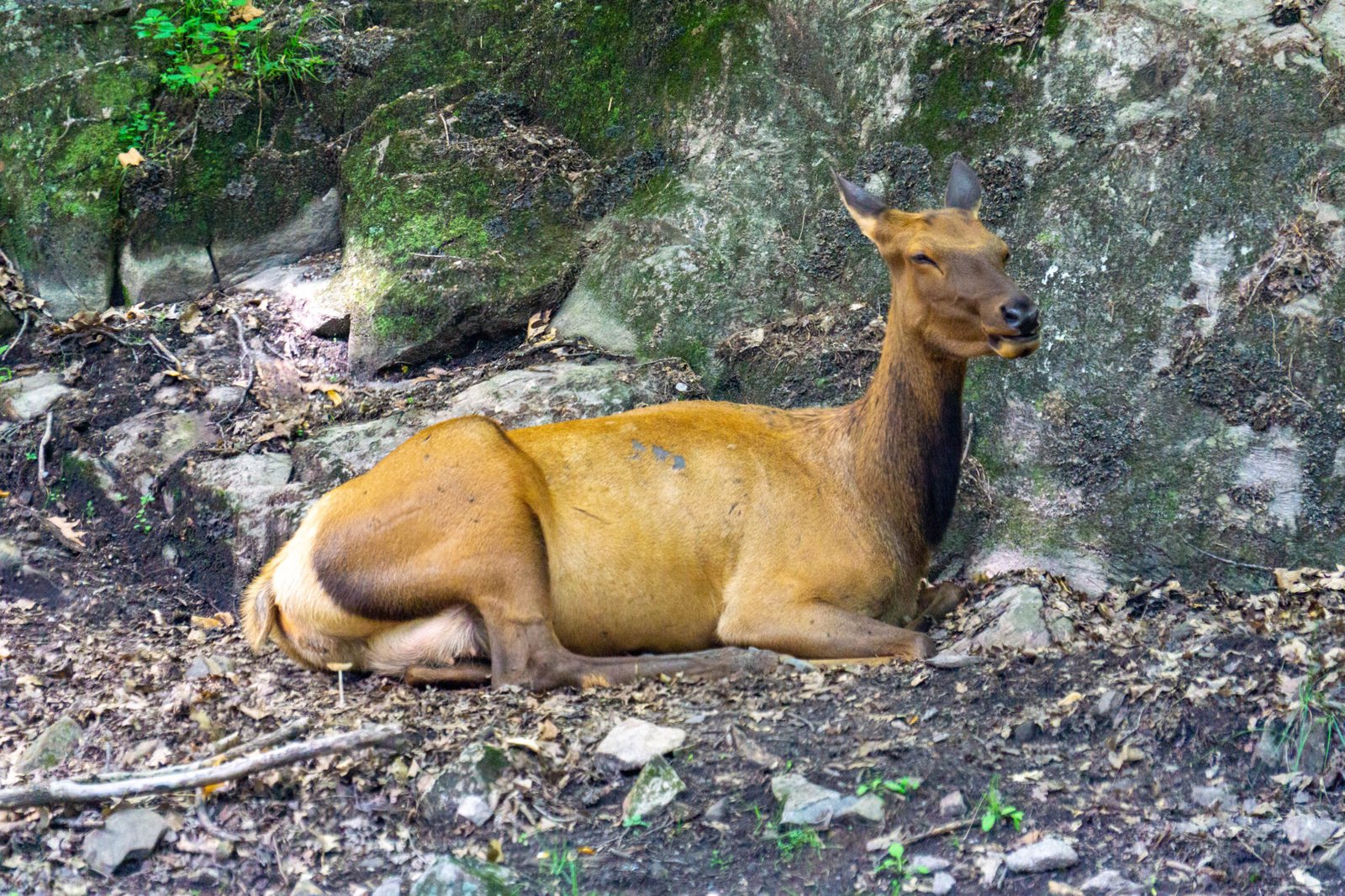 DSC00957