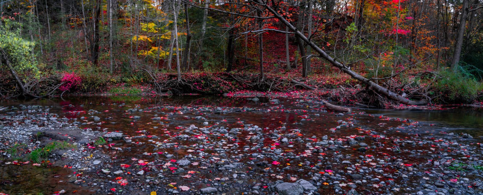DSC04067-Pano