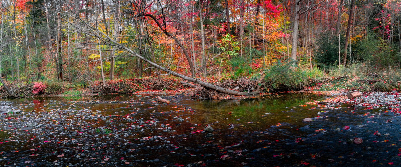 DSC04079-Pano