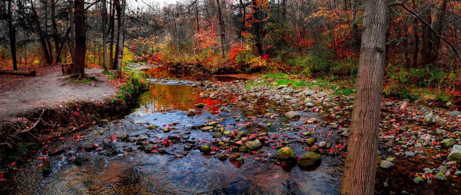 DSC04098-Pano