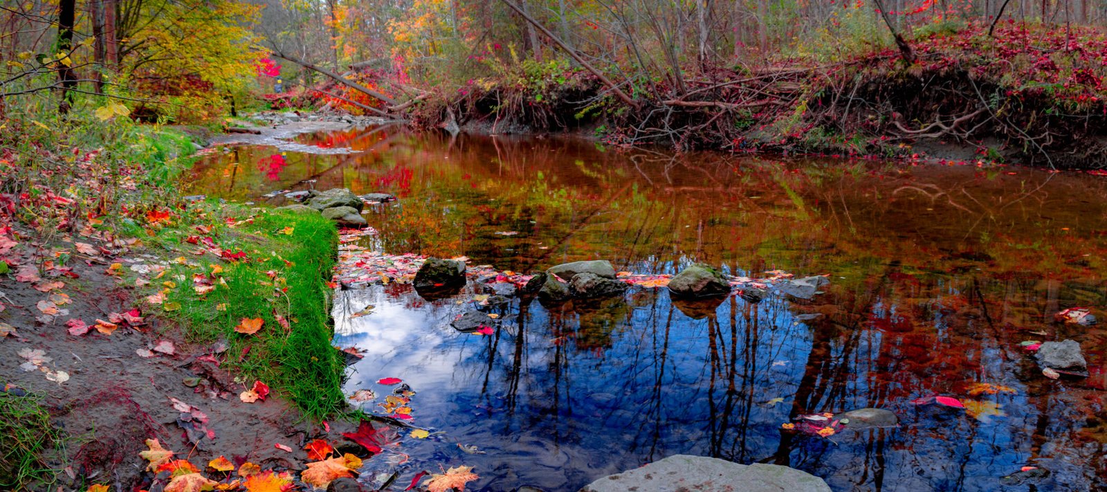 DSC04139-Pano-2