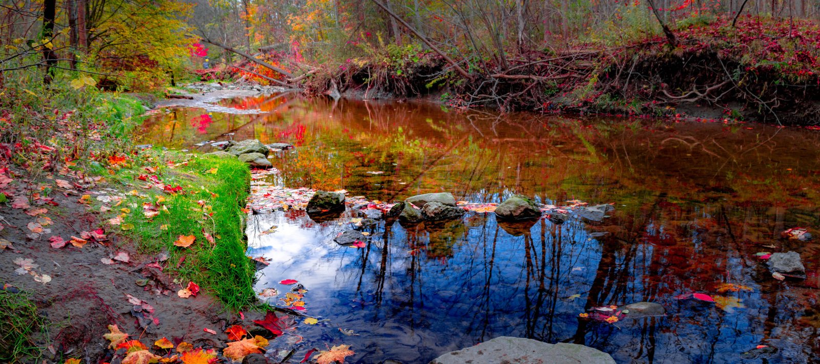 DSC04139-Pano