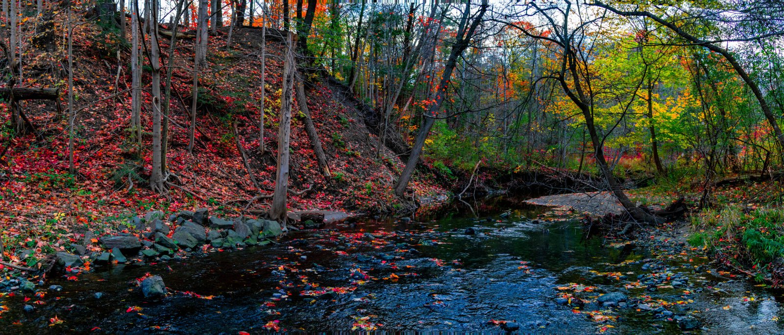 DSC04252-Pano