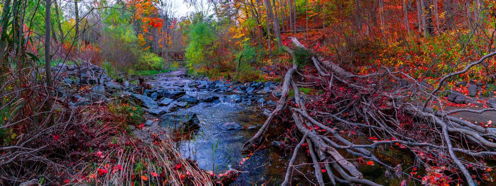 DSC04480-Pano