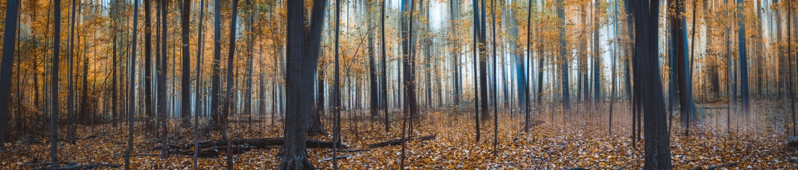 DSC05529-Pano-Edit